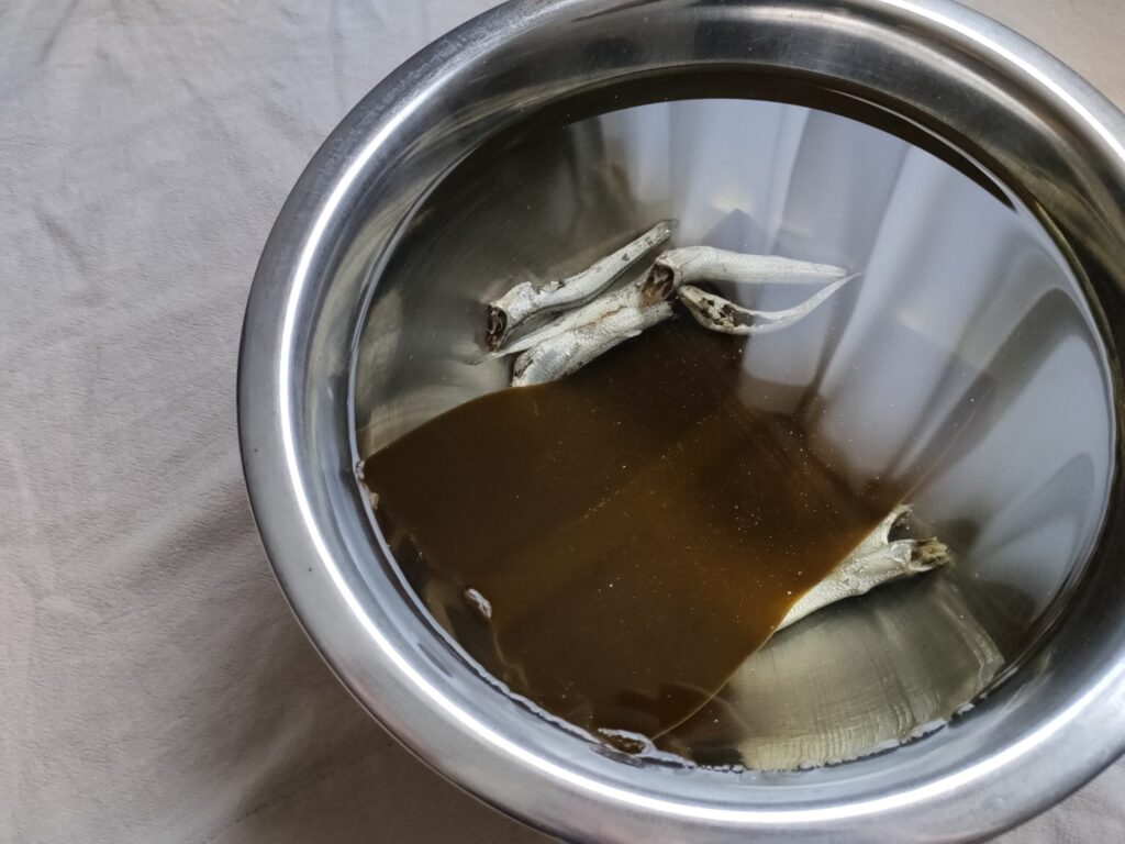 昆布と煮干しを水に浸してだしを取っている様子(ボウル)