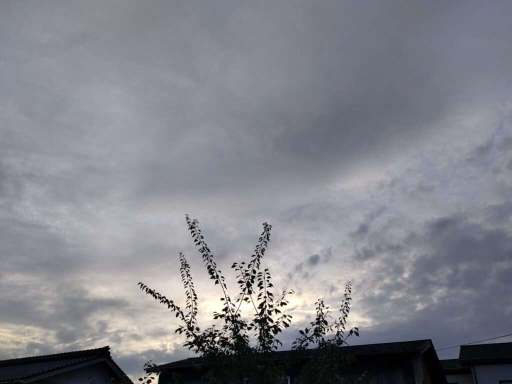 実家の庭から見上げた朝の空。
