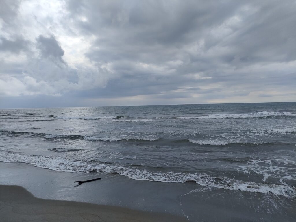曇り空の下に広がる海と波