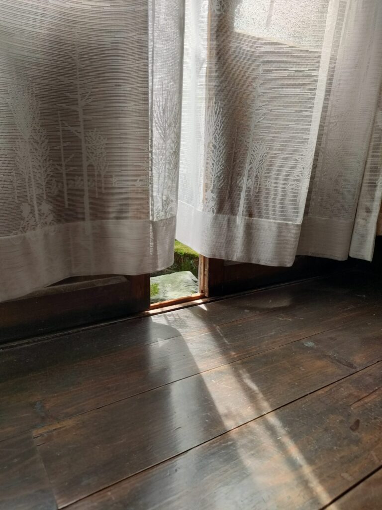 実家の廊下と、網戸のない窓